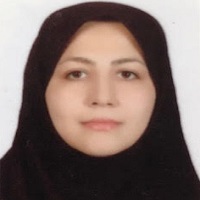 Somayeh Akbari Farmad